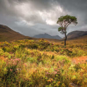 Photo of Torridon