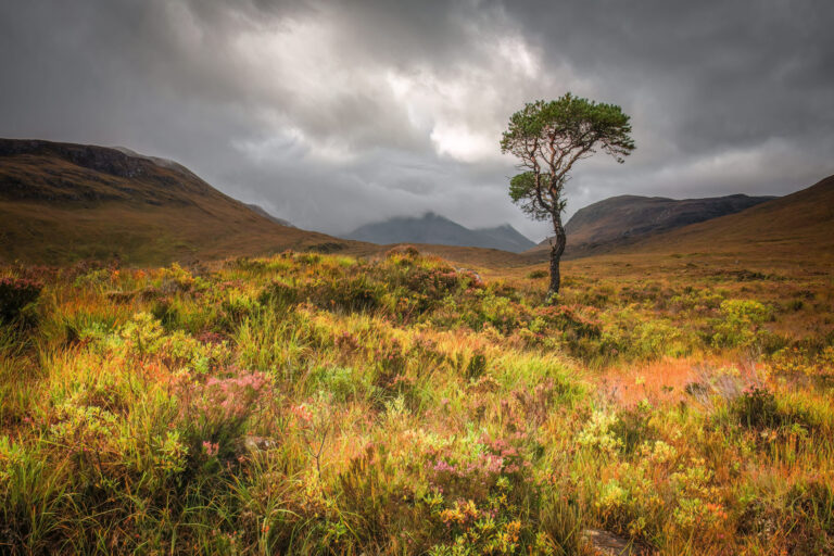 Photo of Torridon