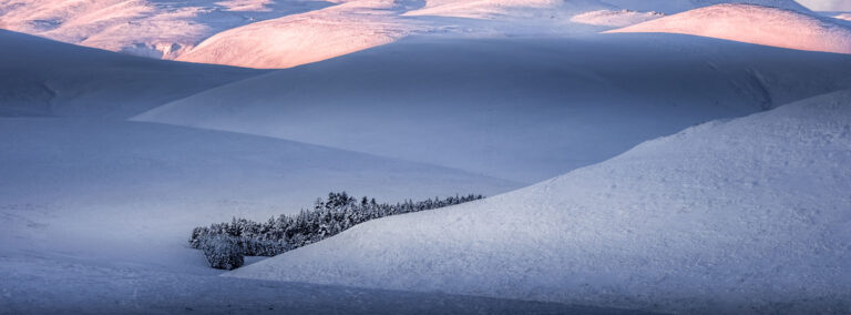 Lecht-Pass-Trees-Snow