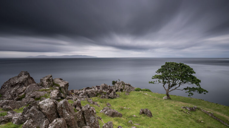 Murlough-Bay-Newsletter