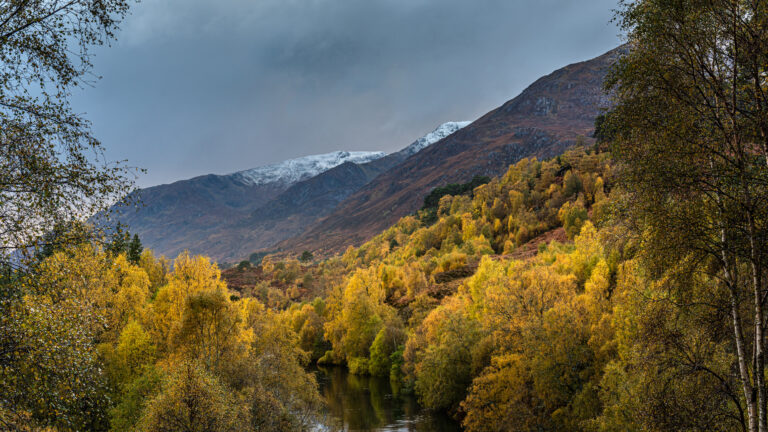 Autumn in Glen Affric