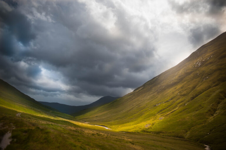 Valley of the deers