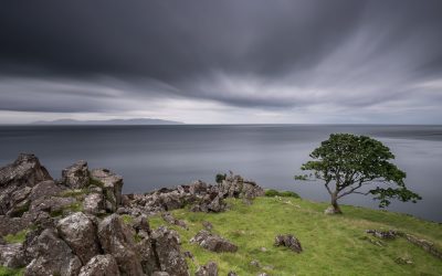 Murlough-Bay-Newsletter