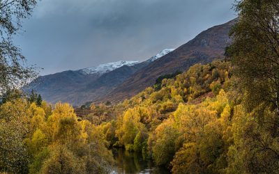 The autumn colours in Glen Affric in the Scottish Highlands with the first snows on the hills